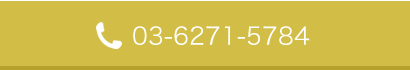 03-6271-5784