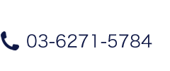TEL:03-6271-5784